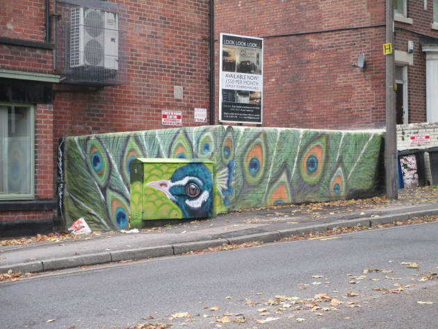 Peacock wall mural